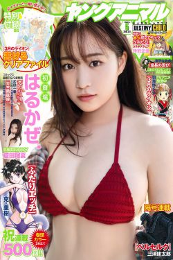 高启超