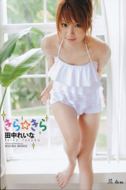 寻狗启示