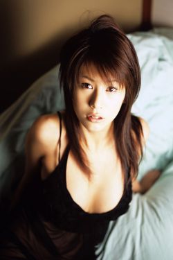 象牙山的好人们电视剧免费观看